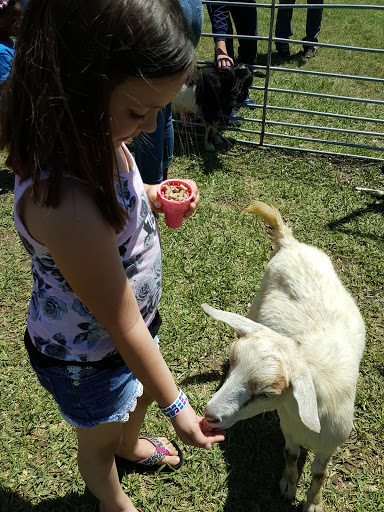 Park «Midway Park», reviews and photos, 615 N Main St, Euless, TX 76039, USA