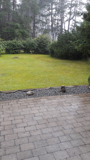 Salon Storm v/ Anni Storm Frisør in Langeskov, Kerteminde