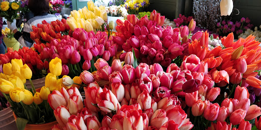 Florist «City Enchanted Gardens Florist», reviews and photos, 2246 W Taylor St, Chicago, IL 60612, USA