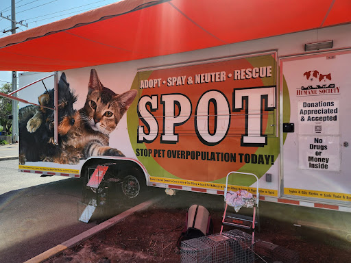 All About the Animals Coalition