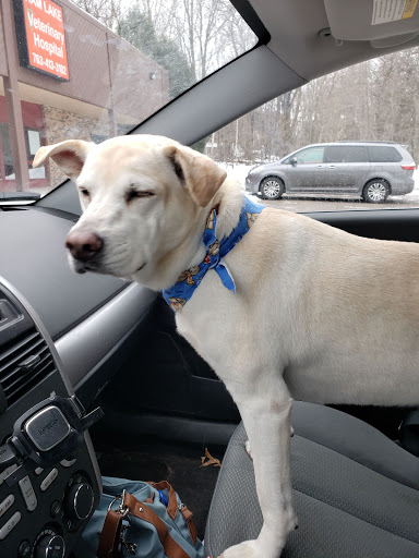 Pet Groomer «All About Dogs & Cats», reviews and photos, 16345 MN-65, Ham Lake, MN 55304, USA