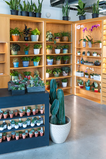 Wholesale Florist «Urban Jungle», reviews and photos, 2603 Sherman Ave NW, Washington, DC 20001, USA