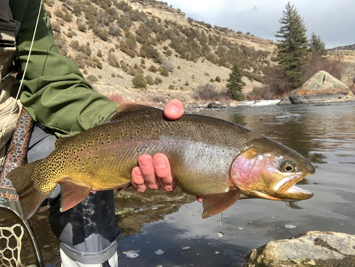 Fishing Charter «Fly Fishing Outfitters», reviews and photos, 1060 W Beaver Creek Blvd, Avon, CO 81620, USA