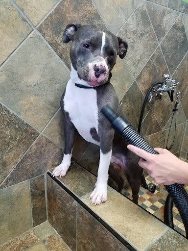 Pet Supply Store «Pet Valu», reviews and photos, 3437 Center Rd, Brunswick, OH 44212, USA