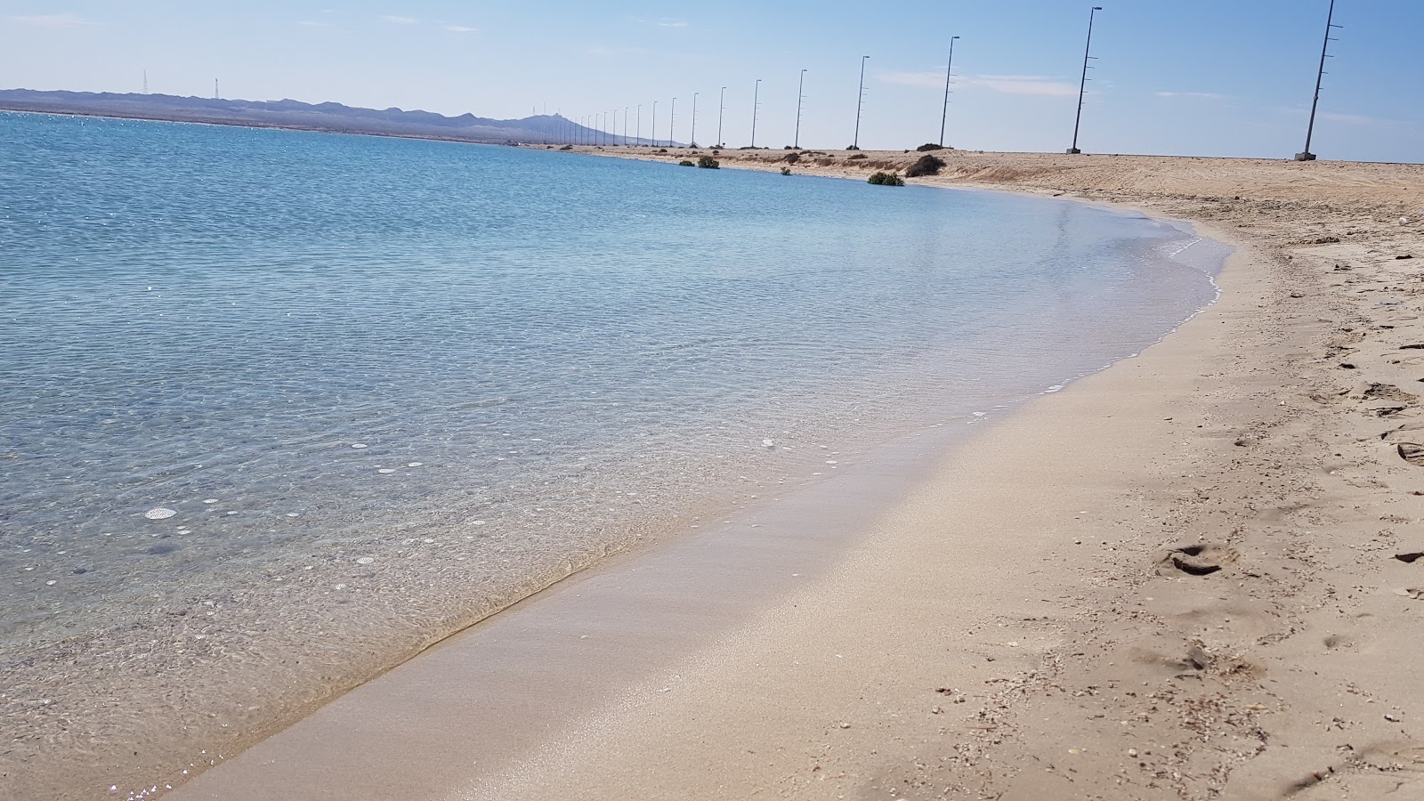 Zdjęcie Sir Bani Yas beach z powierzchnią biały piasek