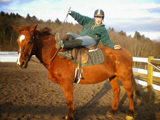 Horse Riding School «Horseng Farm LLC», reviews and photos, 6475 Warden Rd, New Tripoli, PA 18066, USA