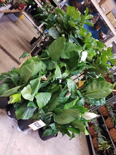 Home Improvement Store «The Home Depot», reviews and photos, 801 N Dupont Hwy, Dover, DE 19901, USA