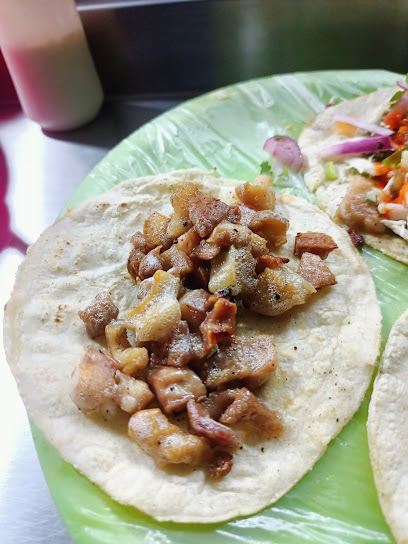 Taquitos don toño - Severino ceniceros, Padre Santo, 35800 Cuencamé, Dgo., Mexico