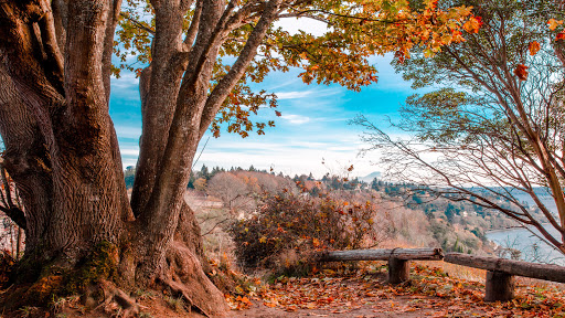 Park «Discovery Park», reviews and photos, 3801 Discovery Park Blvd, Seattle, WA 98199, USA