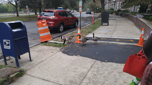 Park «Back Bay Fens», reviews and photos, 100 Park Dr, Boston, MA 02215, USA