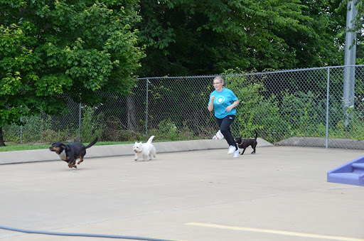 Pet Boarding Service «Pet Palace», reviews and photos, 2803 Trough Springs Rd, Clarksville, TN 37043, USA