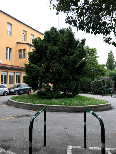 Neurochirurgia - Azienda Ospedaliera di Padova