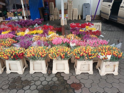 Piața de Flori