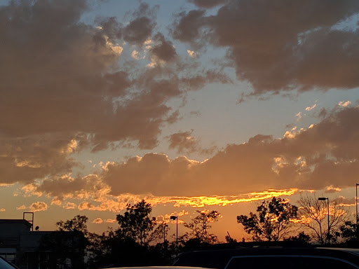 Grocery Store «King Soopers», reviews and photos, 13700 Colorado Blvd, Thornton, CO 80602, USA