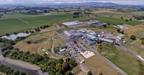 AFFCO New Zealand - Manawatu Plant