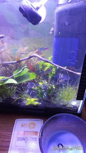 Pet Supply Store «Petco Animal Supplies», reviews and photos, 1150 Concord Ave #160, Concord, CA 94520, USA