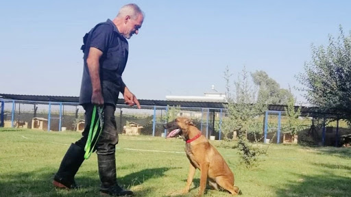 Adana Kopek Egitim Merkezi Kopek Egiticisi