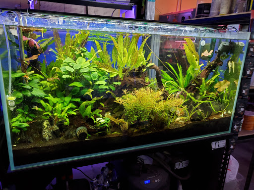 Aquarium Shop «Total Fish & Pets», reviews and photos, 137 Valley Blvd, Alhambra, CA 91801, USA