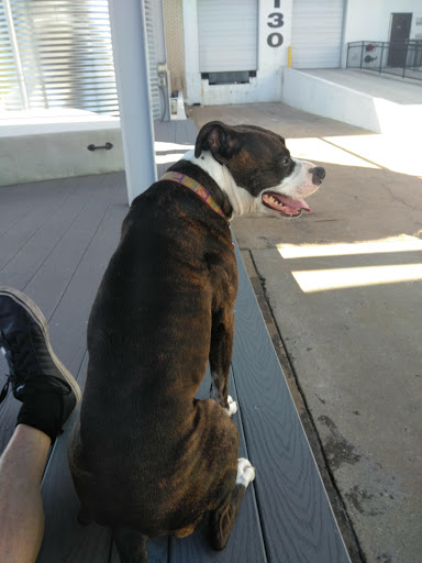 Manufacturer «Dollamur Sport Surfaces», reviews and photos, 1734 E El Paso St, Fort Worth, TX 76102, USA