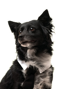 Zenko Photography - Photo 8 - Car repair in , Austin