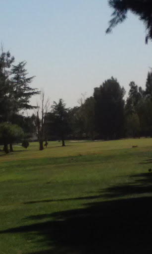 Golf Course «Davis Golf Course», reviews and photos, 24439 Fairway Dr, Davis, CA 95616, USA