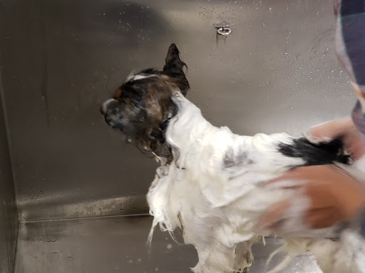 Pet Supply Store «Lemos Feed & Pet Supply», reviews and photos, 1320 Main St, Morro Bay, CA 93442, USA