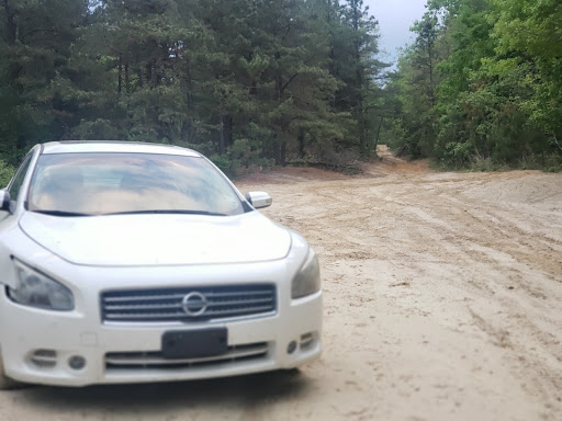 Used Car Dealer «A.A. Auto Salvage Inc.», reviews and photos, 241 E Piney Hollow Rd, Williamstown, NJ 08094, USA