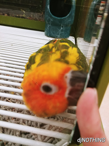 Pet Supply Store «Petco Animal Supplies», reviews and photos, 3055 Columbia Blvd #117, Titusville, FL 32780, USA