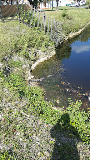 Park «Tamiami Lakes Park», reviews and photos, 13220 SW 18th St, Miami, FL 33175, USA