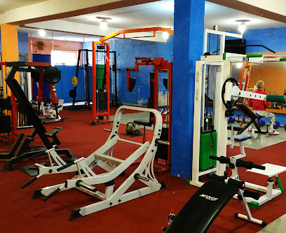 Stalna Volia Sport,s Club Gym - Vulytsya Persha Hirna, 5, Kramatorsk, Donetsk Oblast, Ukraine, 84314