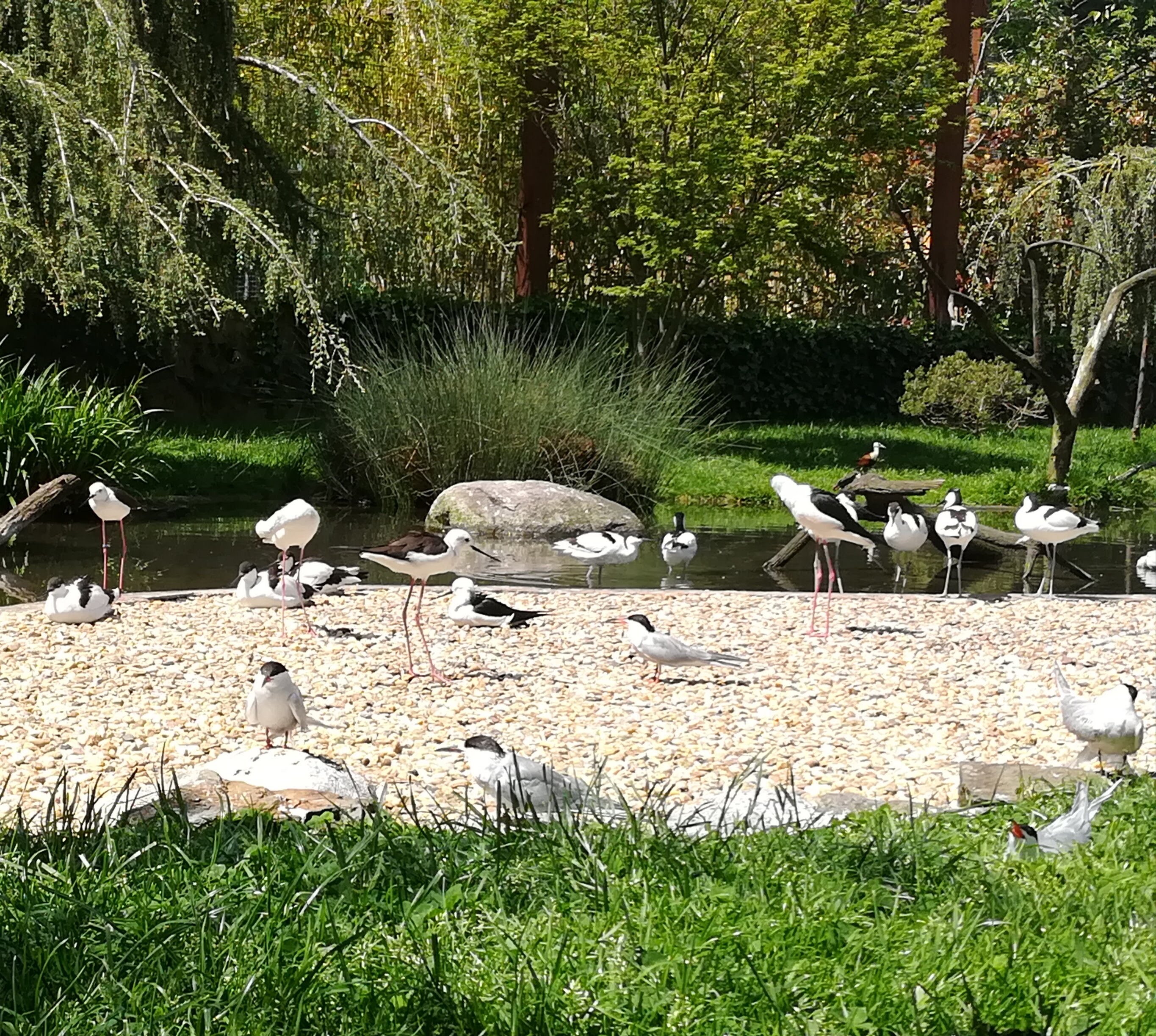 Photo n° 43 de l'avis de Sarah.L fait le 21/04/2018 à 18:44