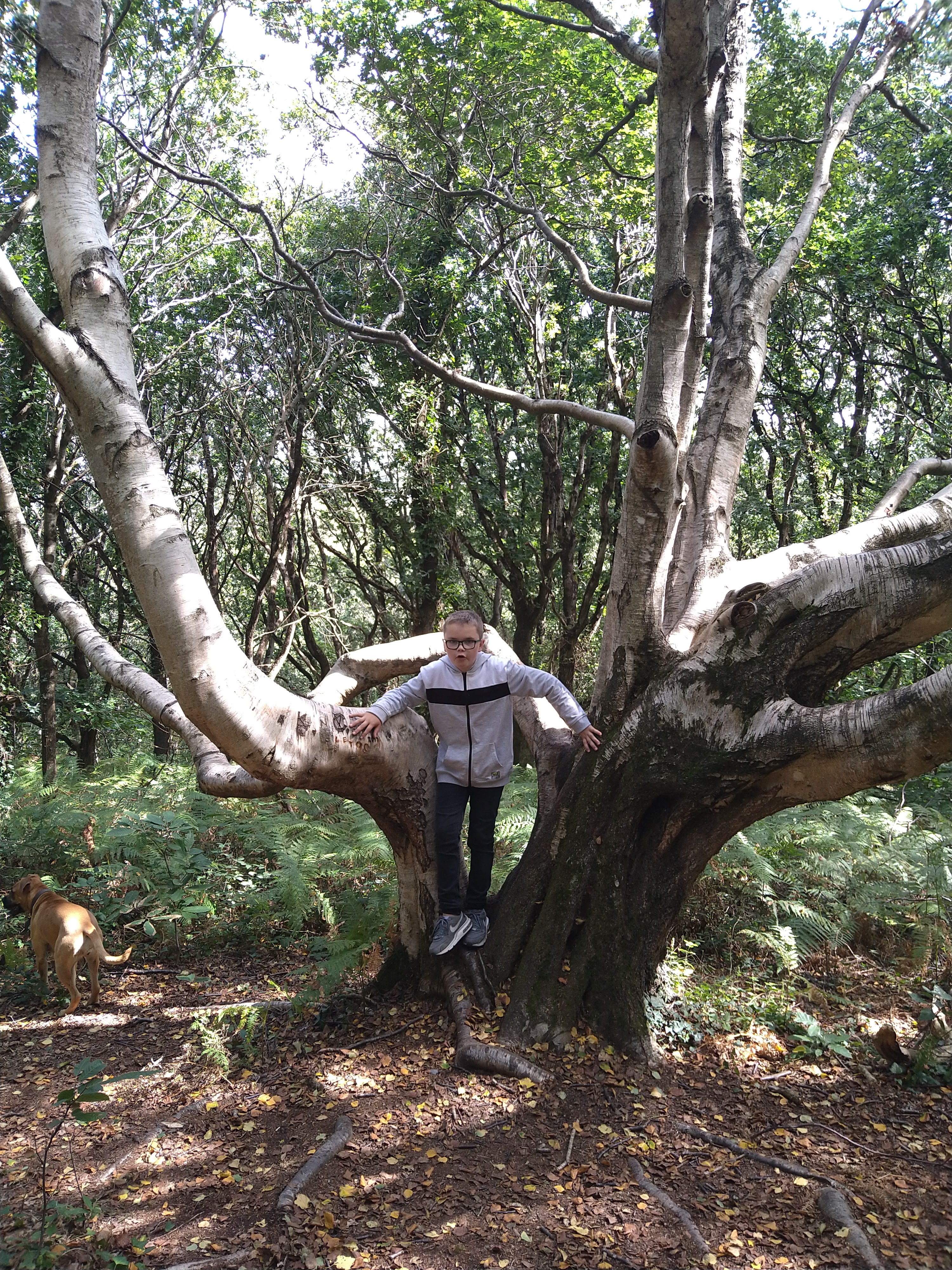 Photo n° 6 de l'avis de sylvain.a fait le 26/08/2020 à 13:01