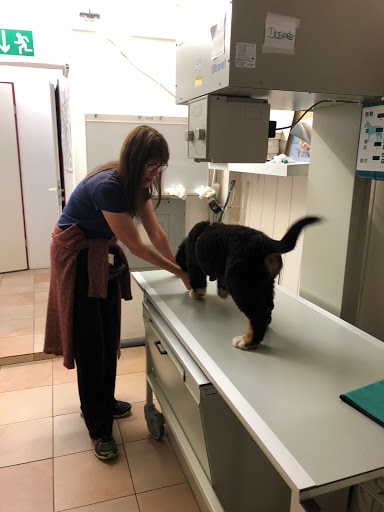 Tierarztpraxis Yvonne Thoonsen unter Engelskirchen, Nordrhein-Westfalen