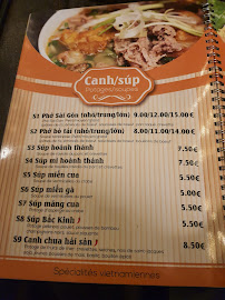 Nouille du Restaurant vietnamien Le Saigon à Sausheim - n°12