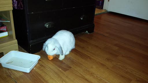 Title Company «Assurance Abstract», reviews and photos