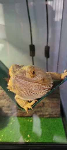 Pet Supply Store «Petco Animal Supplies», reviews and photos, 990 Brook Forest Ave, Shorewood, IL 60431, USA