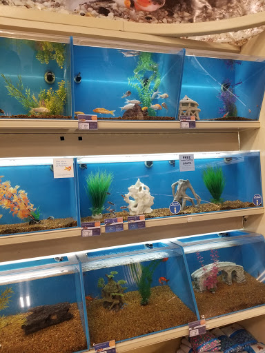 Pet Supply Store «PetSmart», reviews and photos, 842 Dawsonville Hwy, Gainesville, GA 30501, USA