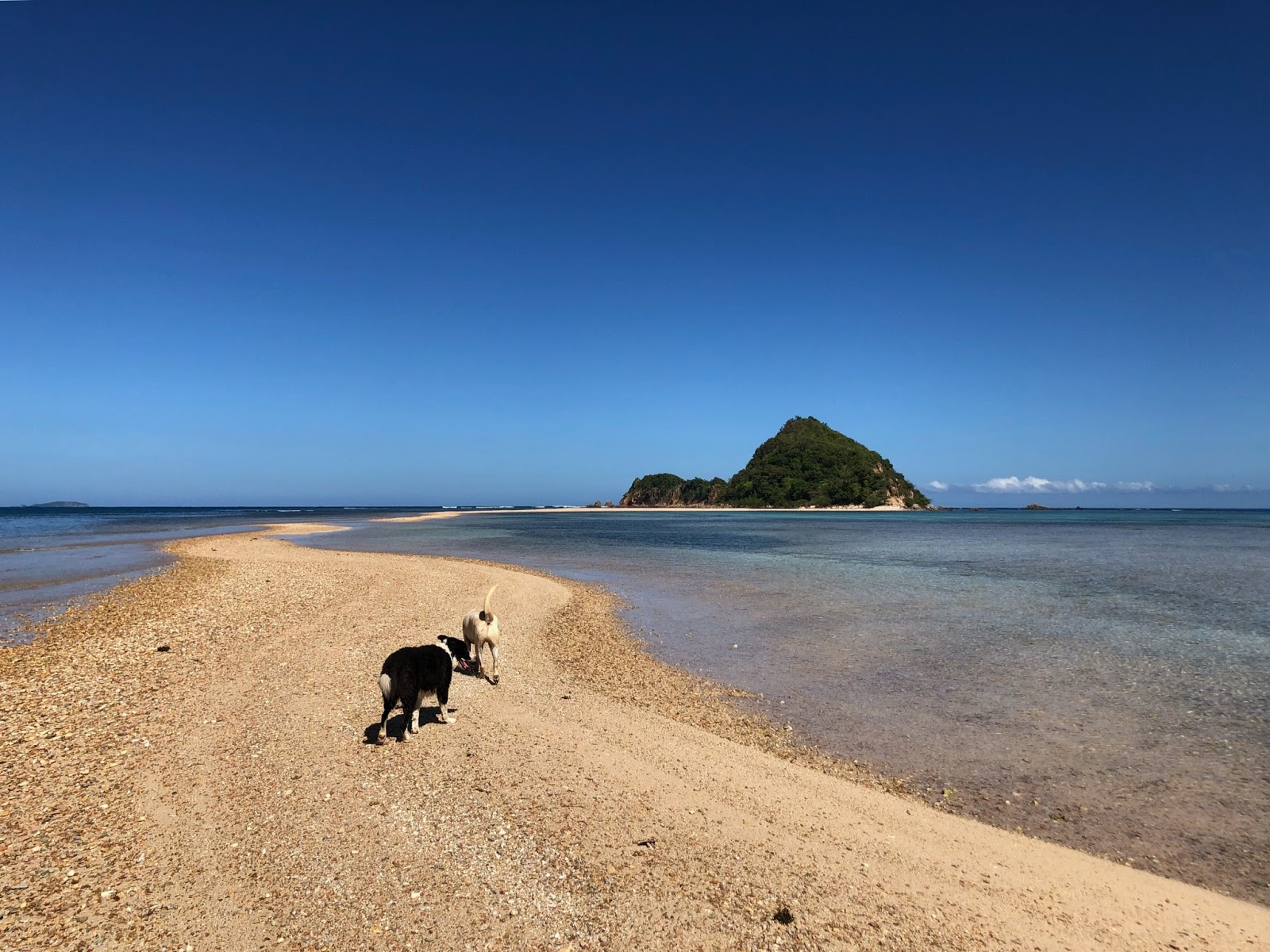 Fotografija Lakdayan Beach priljubljeno mesto med poznavalci sprostitve