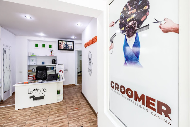 Groomer - Salon de cosmetica felina si canina - <nil>