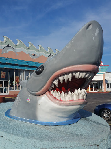 Swimwear Store «Wings Beachwear - Myrtle Beach # 024», reviews and photos, 5700 S Kings Hwy, Myrtle Beach, SC 29575, USA