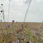 Photo n°1 de l'avis de Erik.a fait le 13/08/2021 à 19:00 sur le  Landidyll Hotel Restaurant Birkenhof à Klosterkumbd