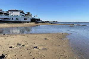 Taren Point Shorebird Reserve image