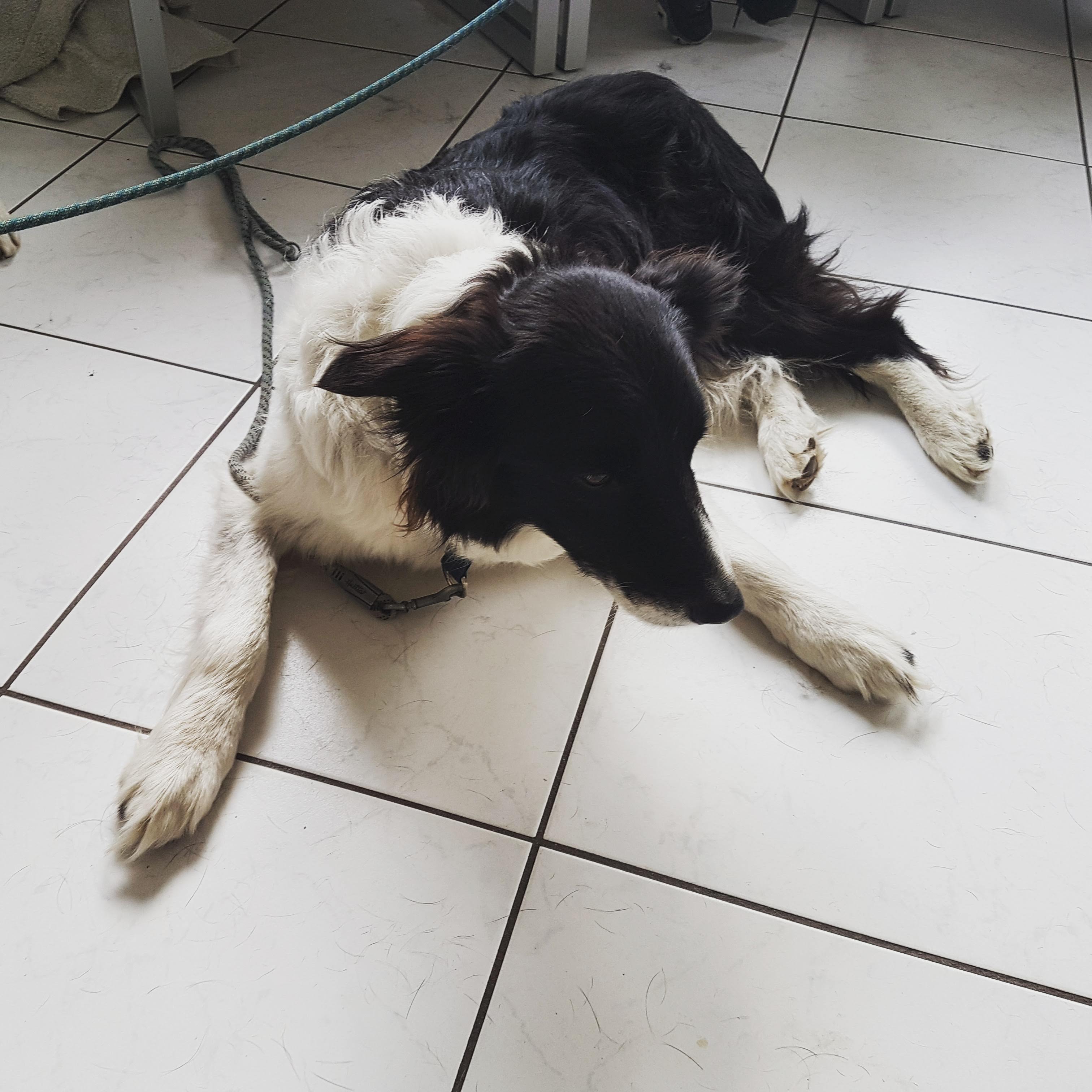 Photo n° 1 de l'avis de Hedvig.l fait le 14/07/2019 à 05:28