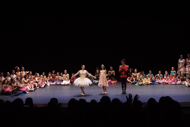 Avaliações doNinho das Artes em Santa Maria da Feira - Escola de dança