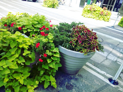 National Museum «National Museum of the American Indian», reviews and photos, 1 Bowling Green, New York, NY 10004, USA