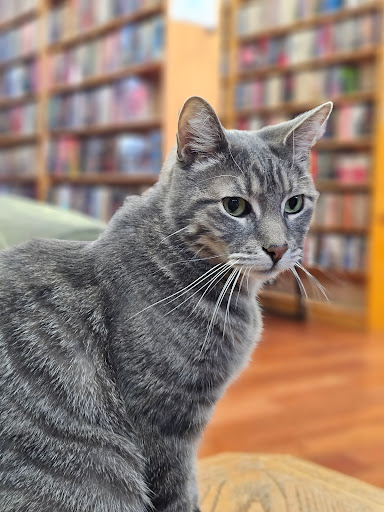 The Iliad Bookshop image