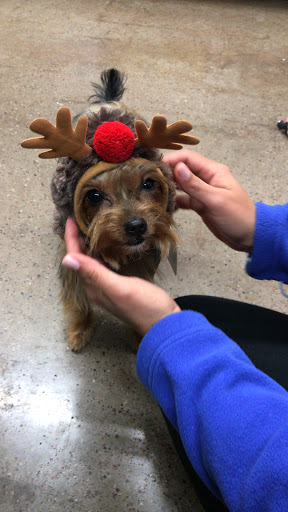 Pet Supply Store «Pet Supplies Plus», reviews and photos, 1704 Greenville Ave, Dallas, TX 75206, USA