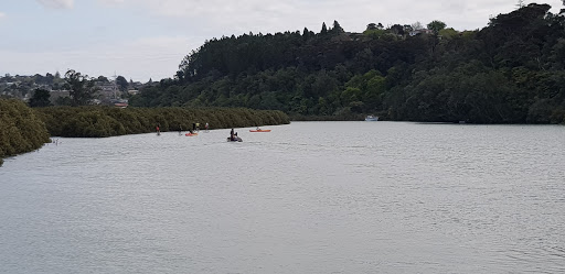 Waitemata Canoe & Multisport Club
