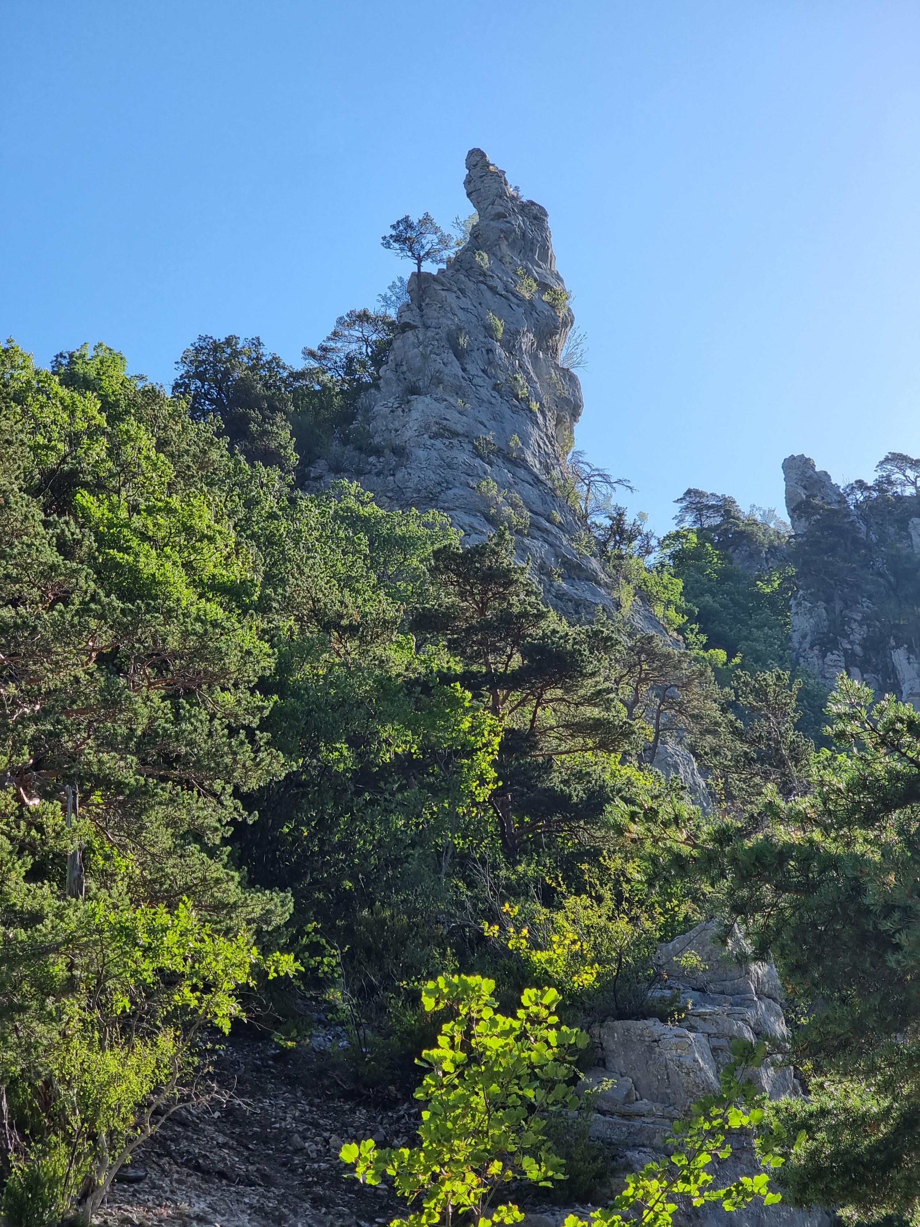 Photo n° 18 de l'avis de Viktória.i fait le 16/07/2022 à 13:58