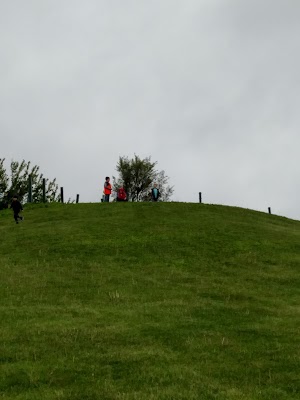 Homerding Park - photo 5